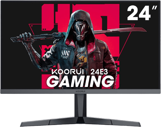 HP Monitor